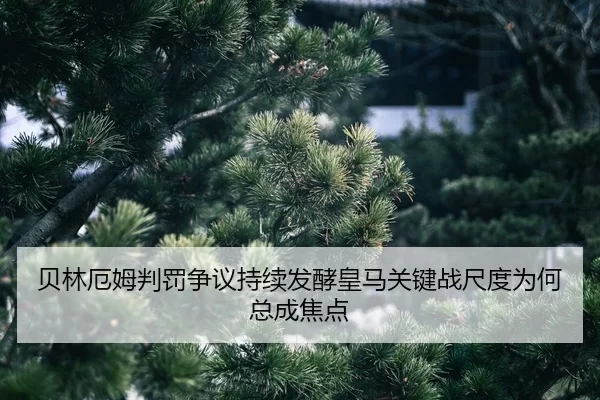 bei-lin-e-mu-pan-fa-zheng-yi-chi-xu-fa-jiao-huang-ma-guan-jian-zhan-chi-du-wei-he-zong-cheng-jiao-dian-2-904.jpg