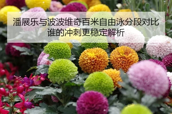 潘展乐与波波维奇百米自由泳分段对比谁的冲刺更稳定解析