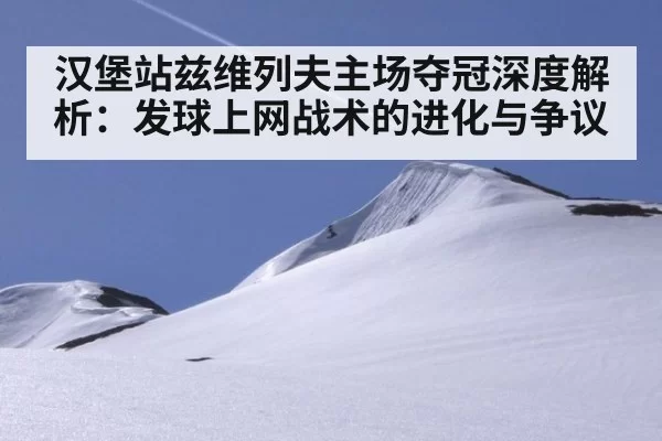 汉堡站兹维列夫主场夺冠深度解析:发球上网战术的进化与争议