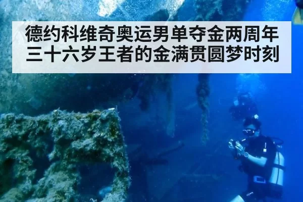 德约科维奇奥运男单夺金两周年 三十六岁王者的金满贯圆梦时刻